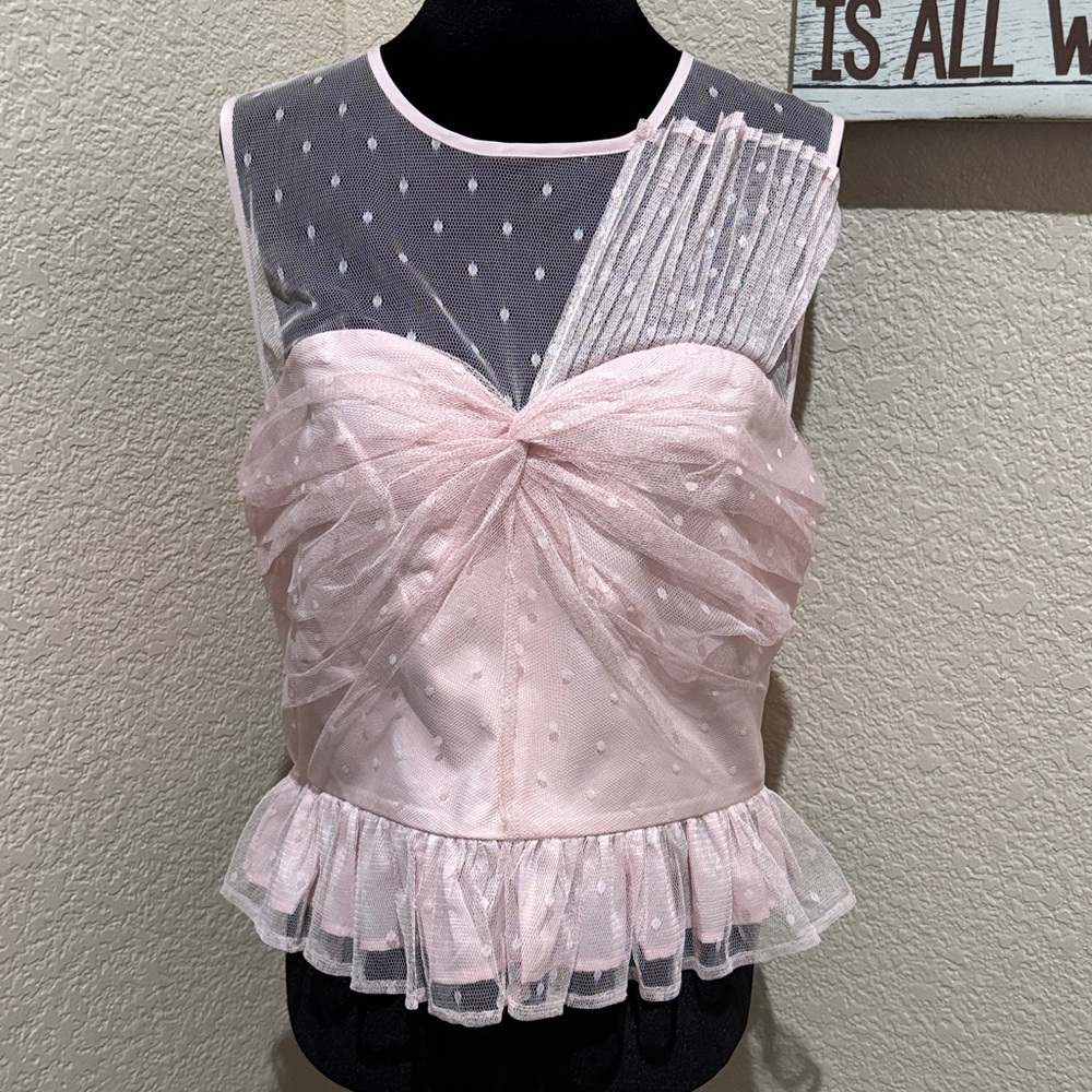 Express Pink Sheer Ruffle Top - Picture 6 of 7
